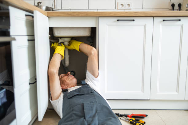 Best Clogged Drain Plumber  in Towaoc, CO